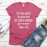 Try Your Hardest Do Your Best State testing shirt